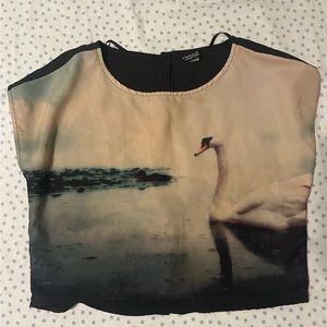 H&M Swan Song crop blouse